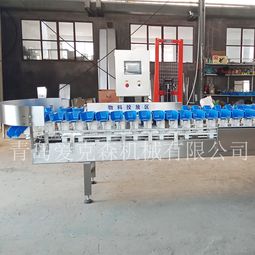拉缸鹽海參重量分級機(jī) 料盒式自動(dòng)重量揀選機(jī) 廠家直銷